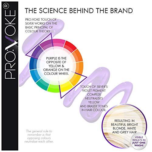 PRO:VOKE PRO:VOKE ProVoke Original Touch of Silver Purple Shampoo (150ml)