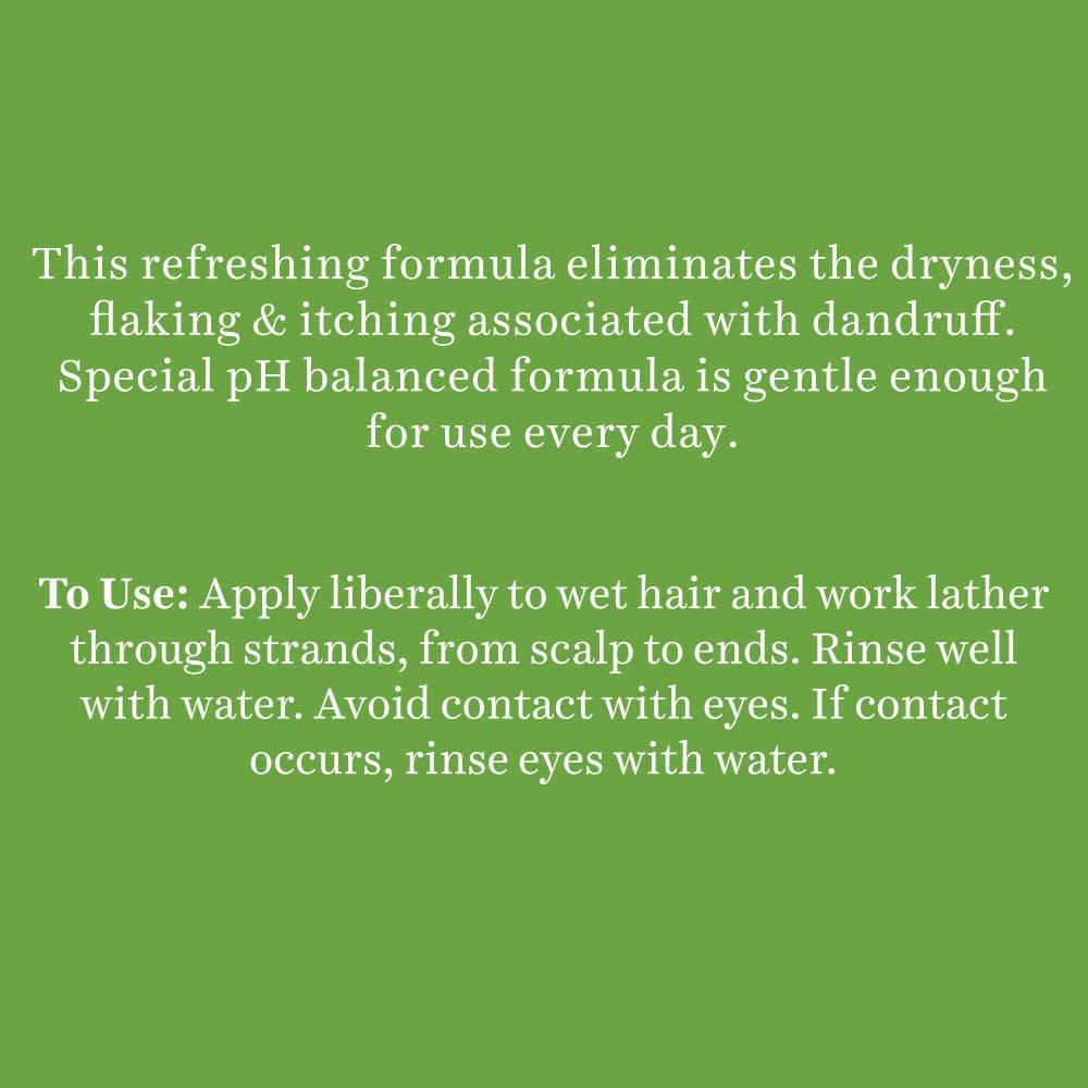 India Bio Neem Margosa Anti Dandruff Shampoo and Conditioner, 650ml