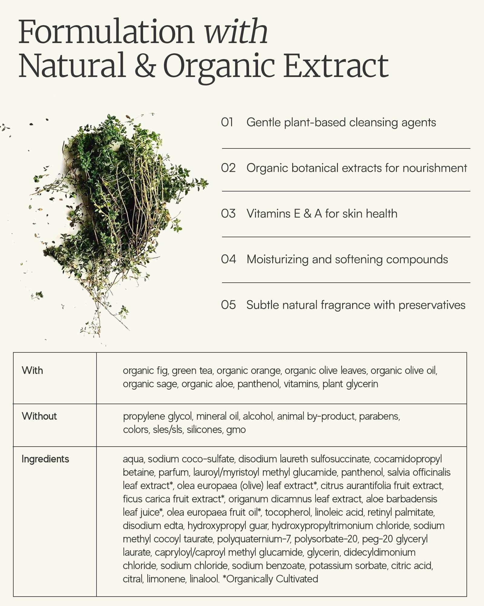 AELIS Aeolis Body Lotion - Hydrates and Nourishes the Hands, Face and Body - Absorbs Quickly - Uses Royal Jelly & Organic Orange + Olive Oil - Ultimate Care - 6.76 Fl Oz