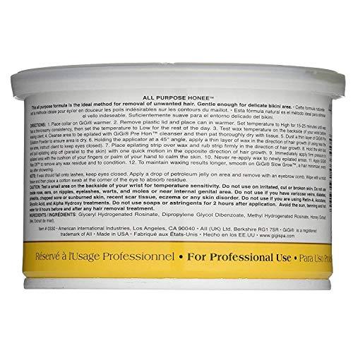 GiGi GiGi Professional Waxing Hair Removal Student Starter Kit + Honee Wax, 14 Ounces