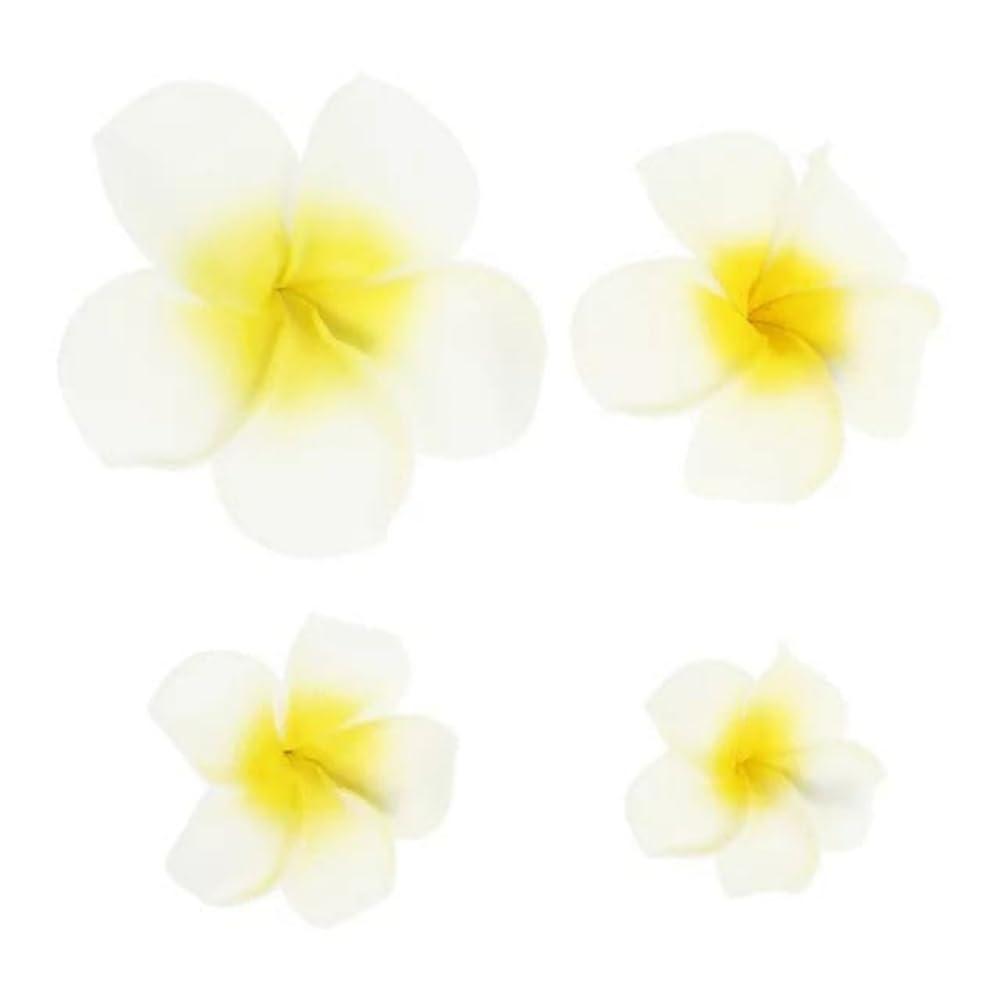 Zenarao Hair Flower Clips, 4Pcs 7cm White and Pink Hawaiian Frangipani, Plumeria Foam Head Flower Party Beach Hair Clip flower, Hawaiian Hair Clips