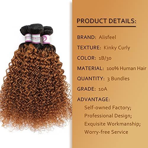 ALISFEEL Ombre Curly 3 Bundles Brazilian Curly Hair Wet and Wavy Human Hair Dark Brown Weave 3 Bundles Kinky Curly 1B/30 Black to Brown (16"18"20")