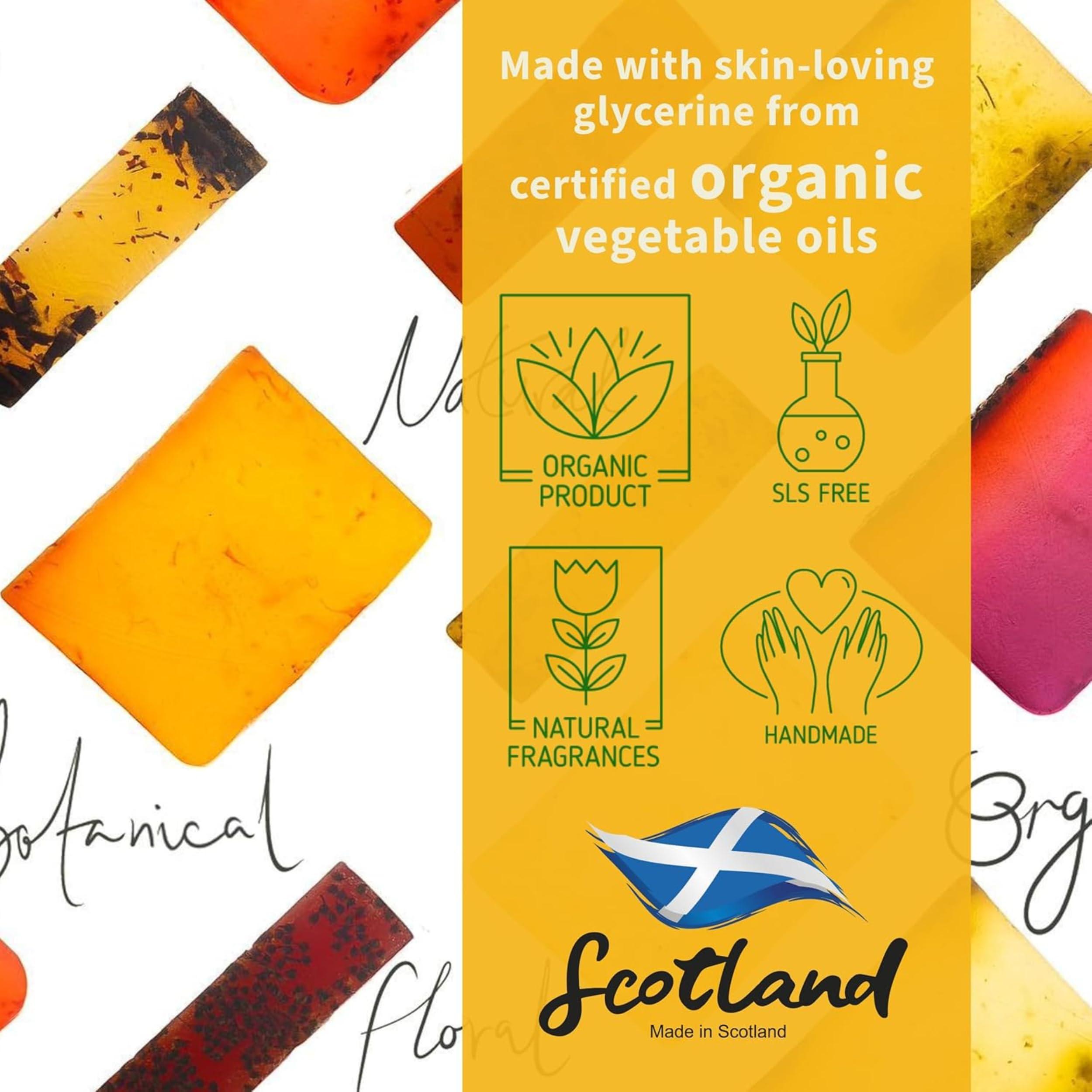 HIGHLAND SOAP CO The Highland Soap Company, Handmade Scottish Organic Vegetable Oil Glycerin Soap Bar, Hebridean Seaweed, 5.3oz (Pack of 2)