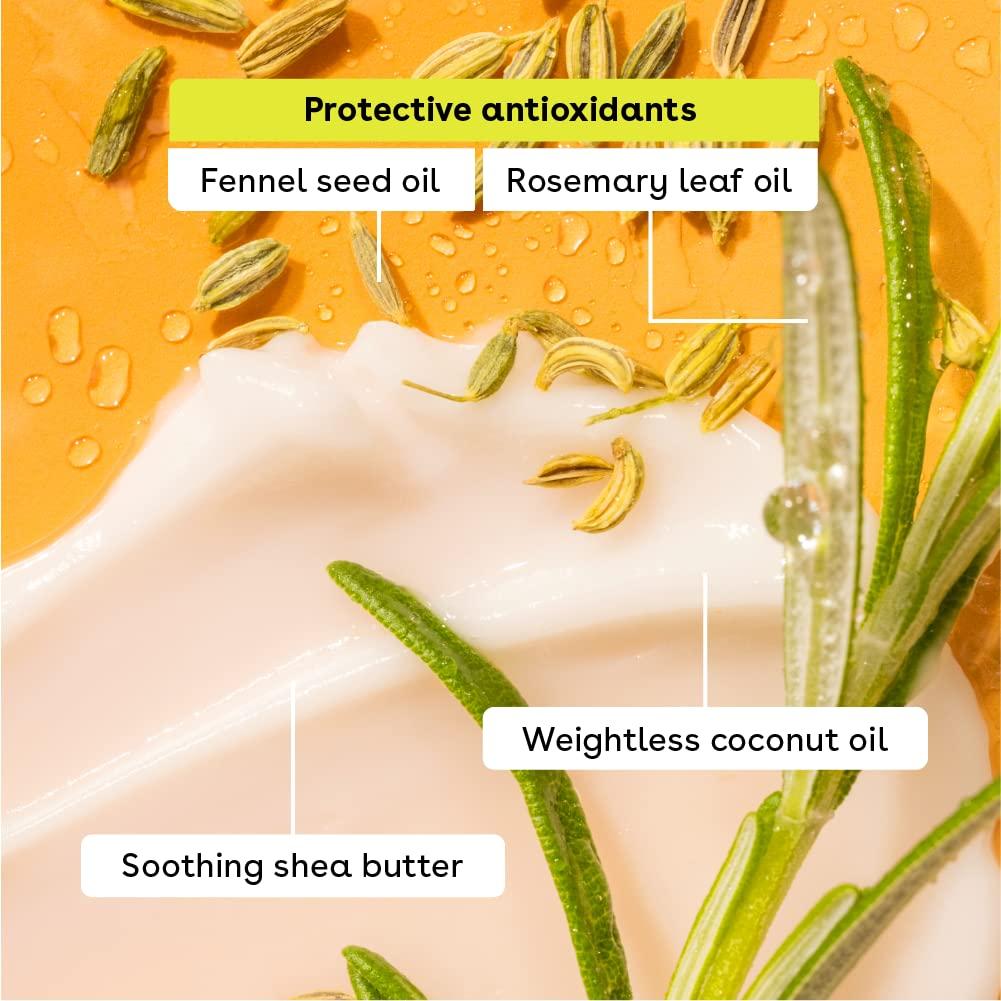 eos eos Lip Balm Gift Set- Peachy Keen, Limited-Edition Lip Moisturizer, Variety Pack, 0.14 oz, 4-Pack