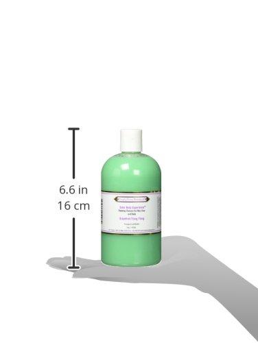 Simply Divine Botanicals Simply Divine Botanicals Outer Body Experience Natural Foaming Cleanser for Body, Face and Hair, 16 oz (Grapefruit Ylang-Ylang)