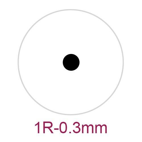 BIOMASER Cartridge Needles – BIOMASER 10PCS Sterilized Permanent Makeup Cartridge Needles Tattoo Needle Fits for Permanent Makeup Machine Pen T100 P1 X1 for Eyebrow Eyeliner Lip (1R-0.3MM)