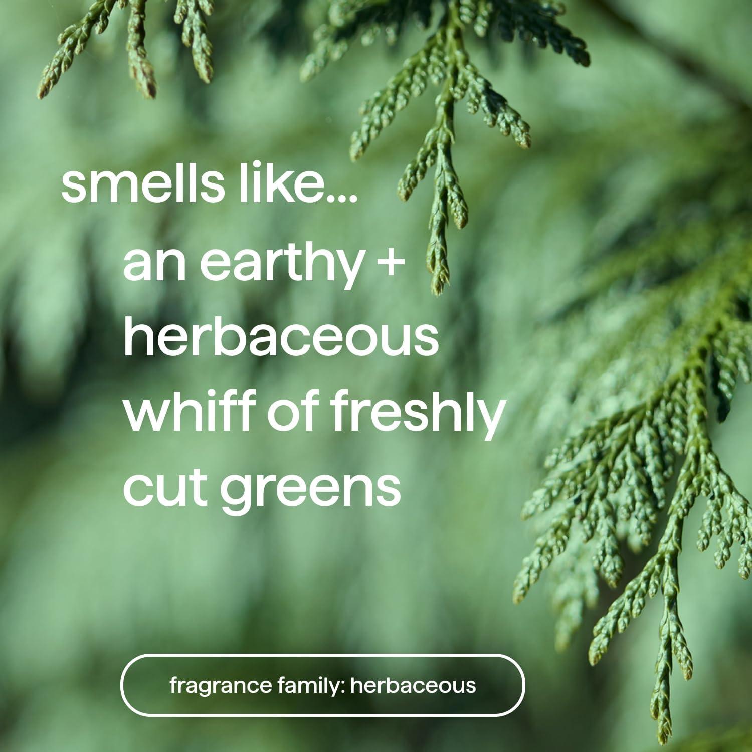 Method Method Men Body Wash Variety Pack - 3 Scents - Glacier + Granite, Sandalwood + Vetiver, Juniper + Sage - 18 fl oz Each