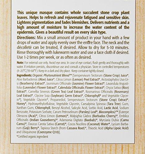 Eminence Eminence Stone Crop Masque, 2 Ounce (I0088718), white