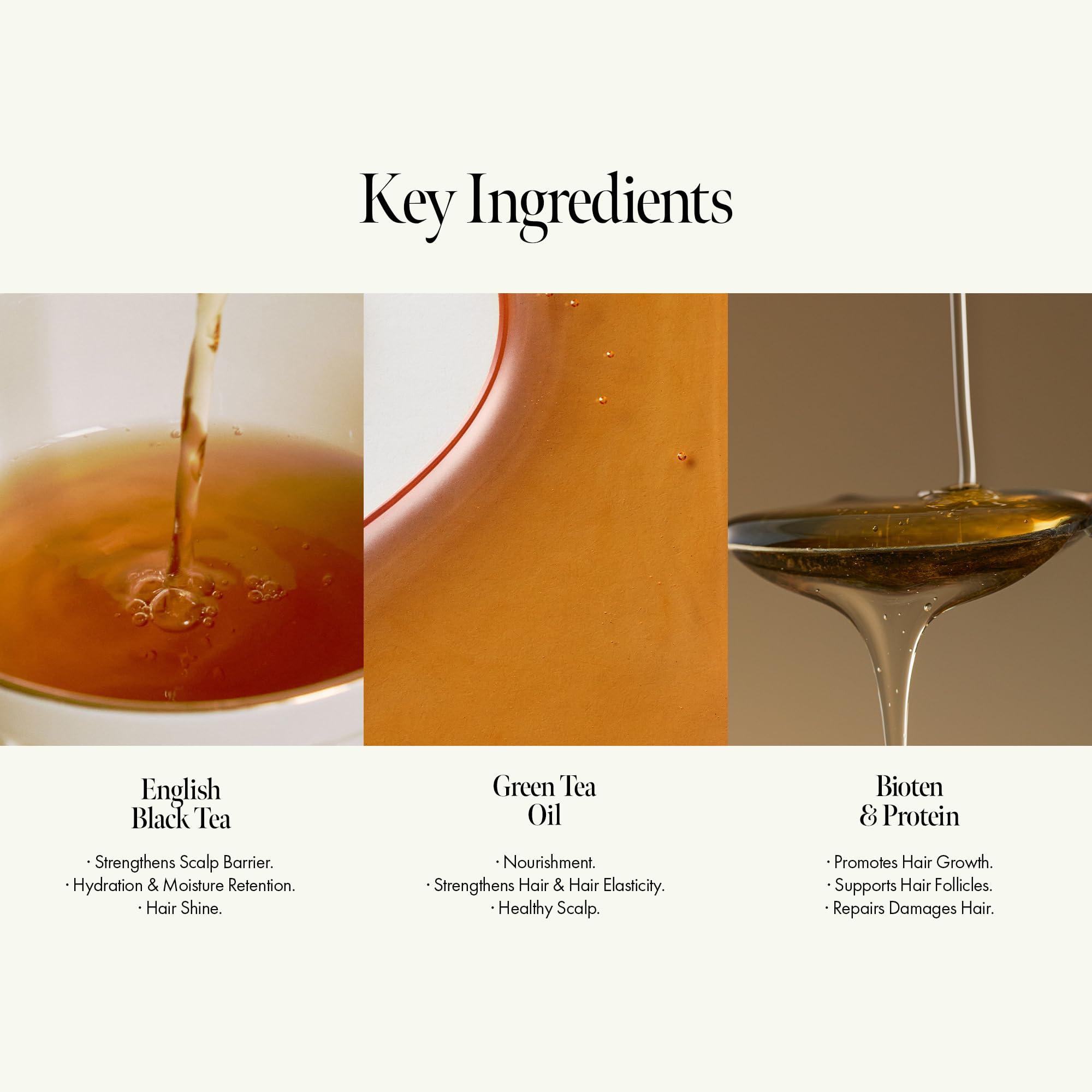 ANILLO Black Tea Nourishing Hair Essence with Green Tea, Protein & Biotin for Nourishment and Shine, Creamy Woody Scent, Paraben-Free (50ml / 1.69 fl. Oz)