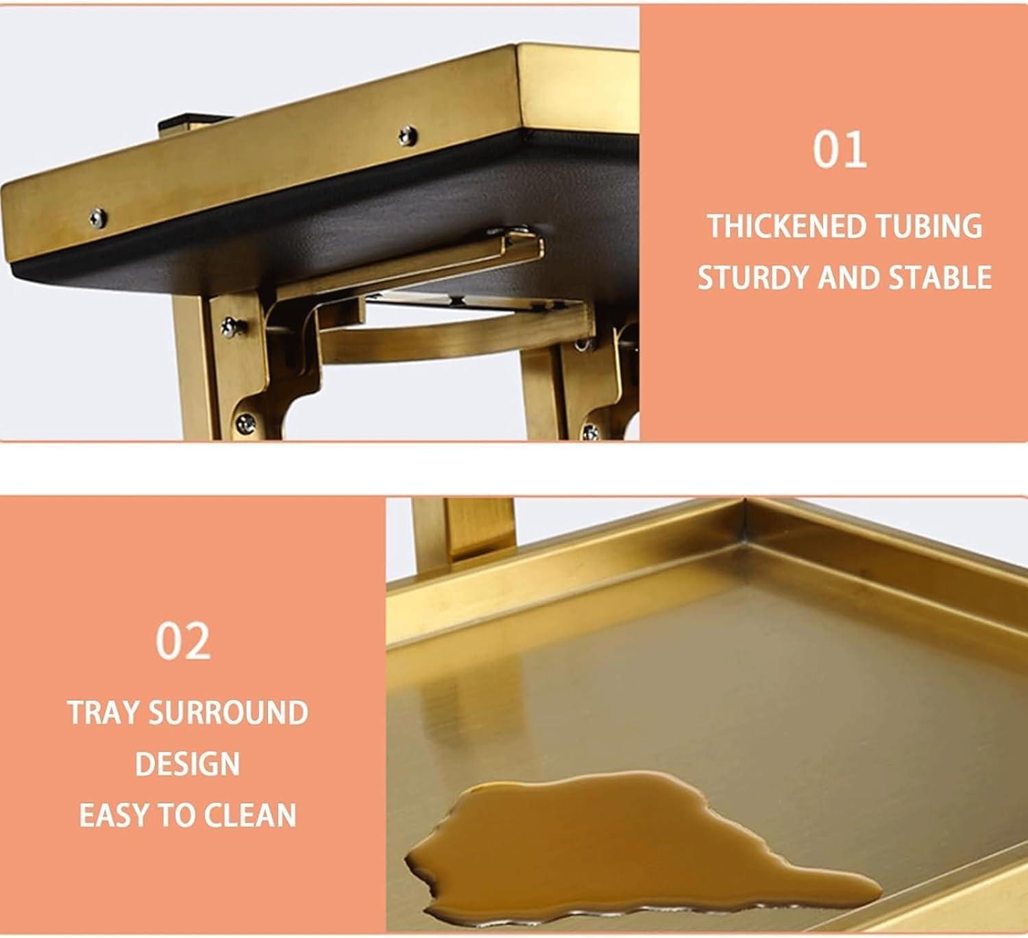 YPDJVLTI YPDJVLTI Salon cart Salon Rolling Cart Metal Salon Cart Foldable Trolley Cart 2 Tier Storage Utility Cart with Casters Portable Salon Trolley Portable