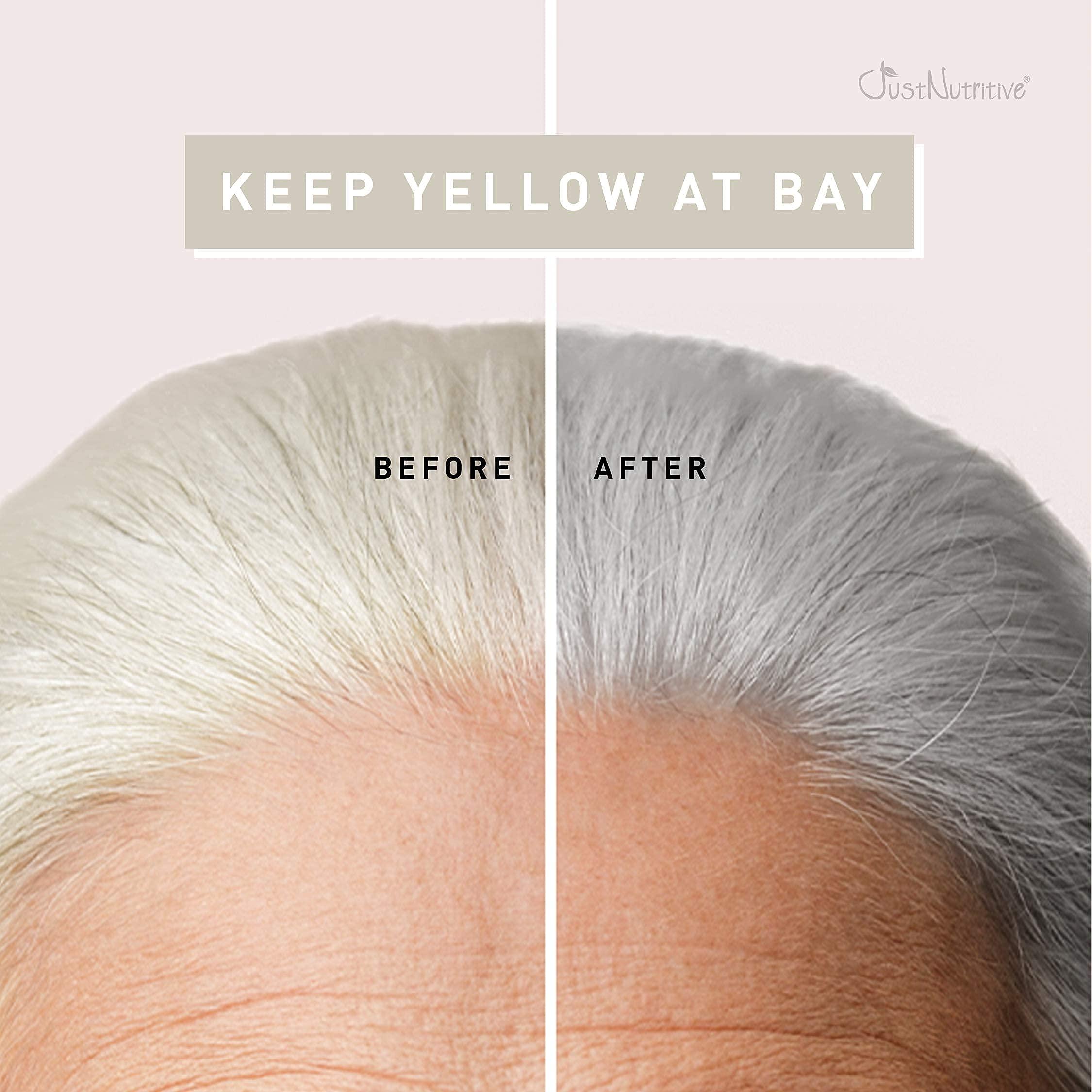 Just Nutritive Just Nutritive Gray Hair Shampoo and Conditioner Set for Gray Hair Kit, Natural Shampoo and Conditioner for Gray Hair Bundle, 16 oz Each Product