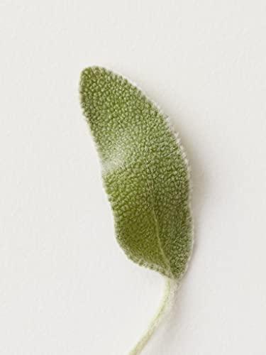 AG Care AG Hair Cosmetics Hard Jel Extra-Firm Hold for Unisex - 6 oz Gel