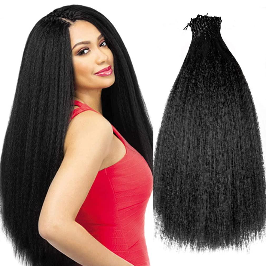 Allyreetress 6 Packs 20 Inches Kinky Straight Crochet Hair with Adjustable Loop Synthetic Pre-looped Yaki straight Crochet Braiding Hair Extensions for Black Women 1B# Black