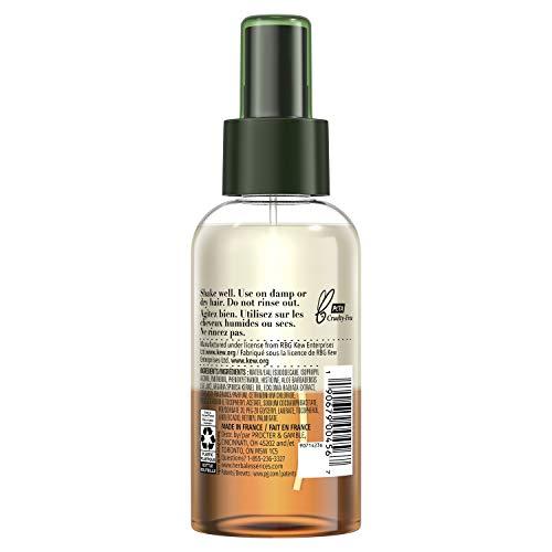 Herbal Essences Herbal Essences Bio: Renew Argan Oil & Aloe Lightweight Hair Oil Mist - Repair, 4 Fl oz, 2.918 Fl oz