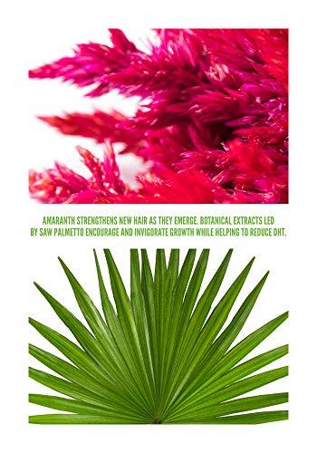 Surface Hair Surface Hair Awaken Therapeutic Shampoo, 10 Fl. Oz (Pack of 1)