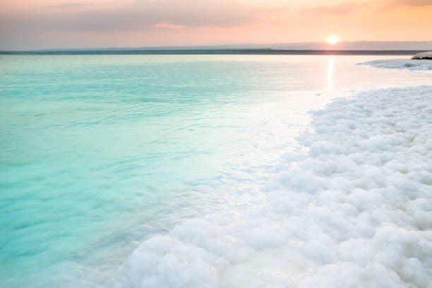 J. Malki Products Malki Dead Sea Products Natural Mineral Shampoo | Dead Sea Shampoo for Vibrant and Healthy Hair | Eczema, and Psoriasis Support, Paraben Free Shampoo