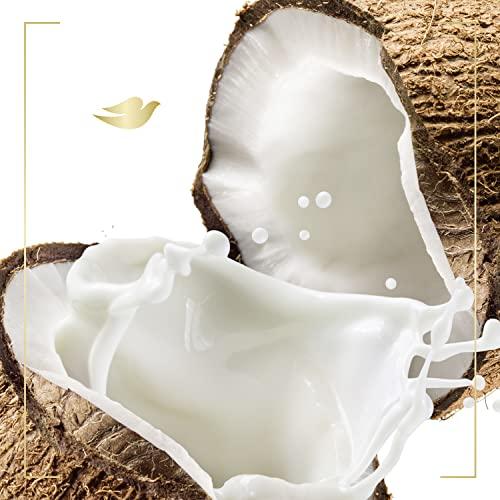 Dove Dove Purely Pampering Body Wash for Dry Skin Coconut Butter and Cocoa Butter Effectively Washes Away Bacteria While Nourishing Your Skin 22 oz 4 count