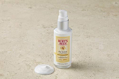 Burt's Bees Burt's Bees Skin Nourishment Day Lotion with SPF 15 for Normal to Combination Skin, 2 Oz (Package May Vary)