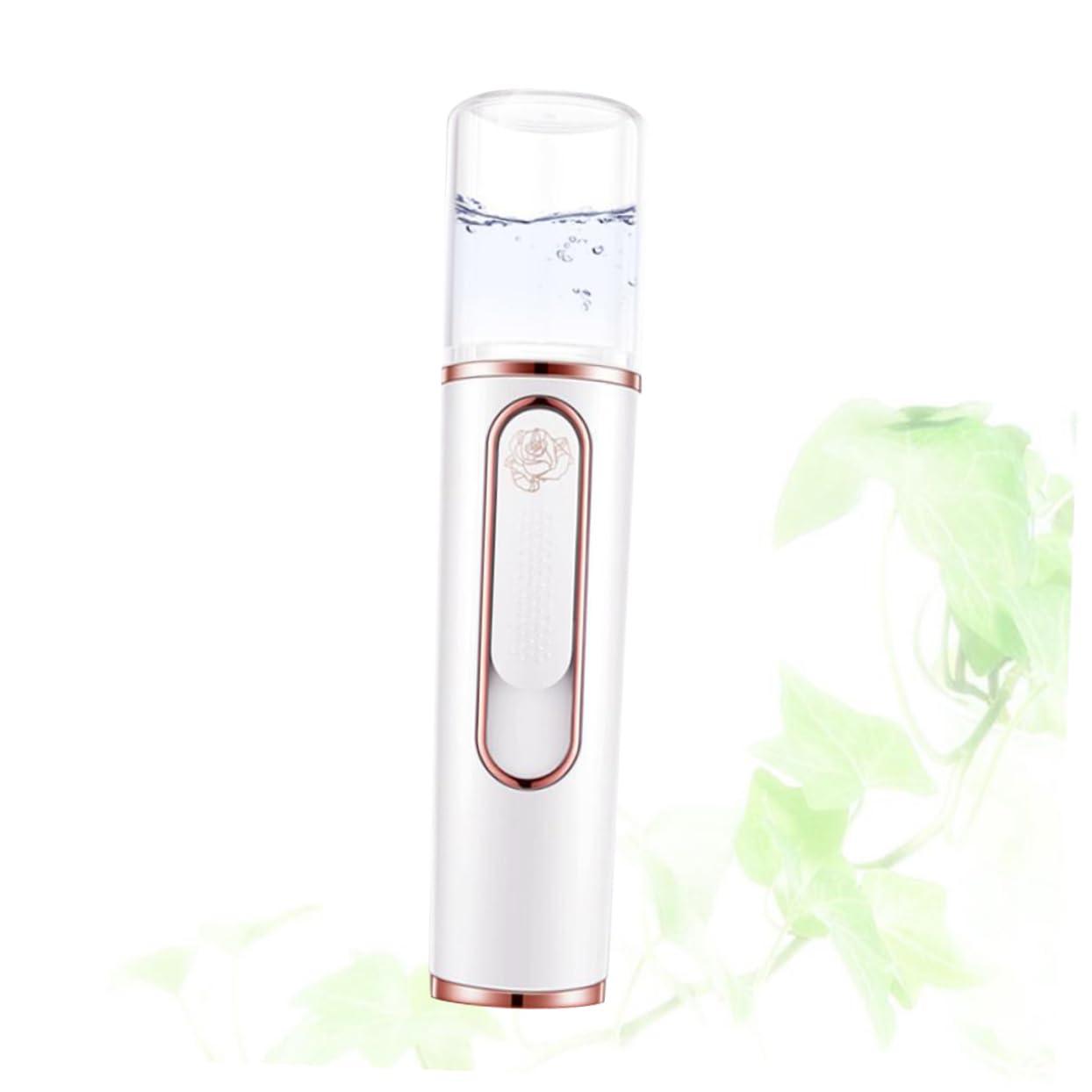Beavorty Beavorty Portable Humidifer Nano Facial Mister Nano Mist Sprayer Rechargeable Mist Sprayers Facial Mist Facial Spa Steamer Nano Mist Cooler Facial Steamer Portable Steamer White