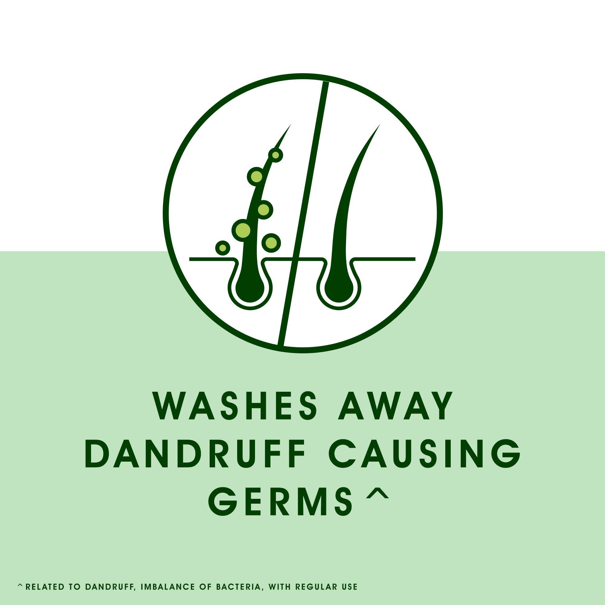 Head & Shoulders Head & Shoulders Neem, Anti Dandruff Shampoo, 340 ml