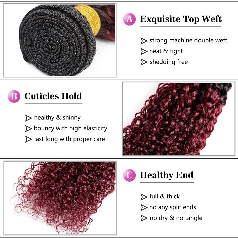 ALISFEEL Ombre Dark Red Curly Weave Human Hair 3 Bundles 99J Brazilian Curly Hair 100g/Bundles Burgundy Kinky Curly Human Hair Extensions for Black Women (18"20"22")