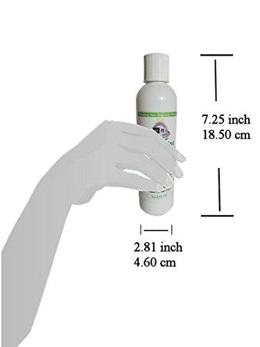 Aquagaine Aquagaine Premium Hair Loss Prevention/Restoration Shampoo with Organic Rosemary & Lavender Oil, Natural DHT Blockers and Biotin for Hair Growth – Sulfate Free, For Men & Women, 8 OZ