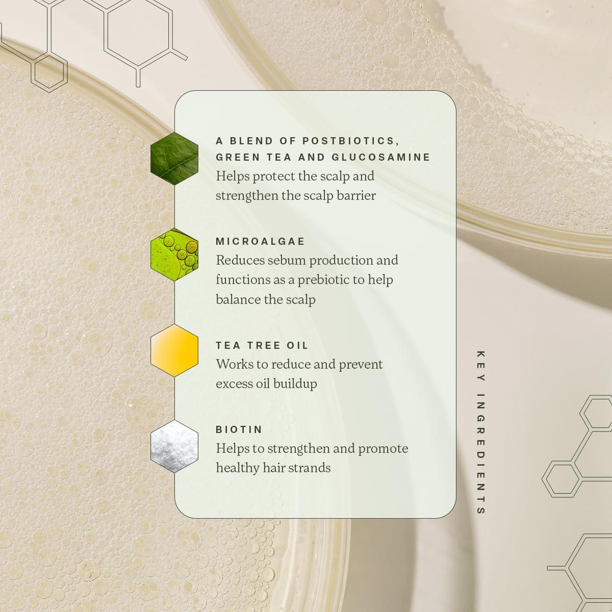 divi divi Volumizing Shampoo for Women and Men - Lightweight Volume Shampoo for Fine Hair - Formulated to Cleanse, Nourish and Balance the Scalp, 12 Fl Oz.