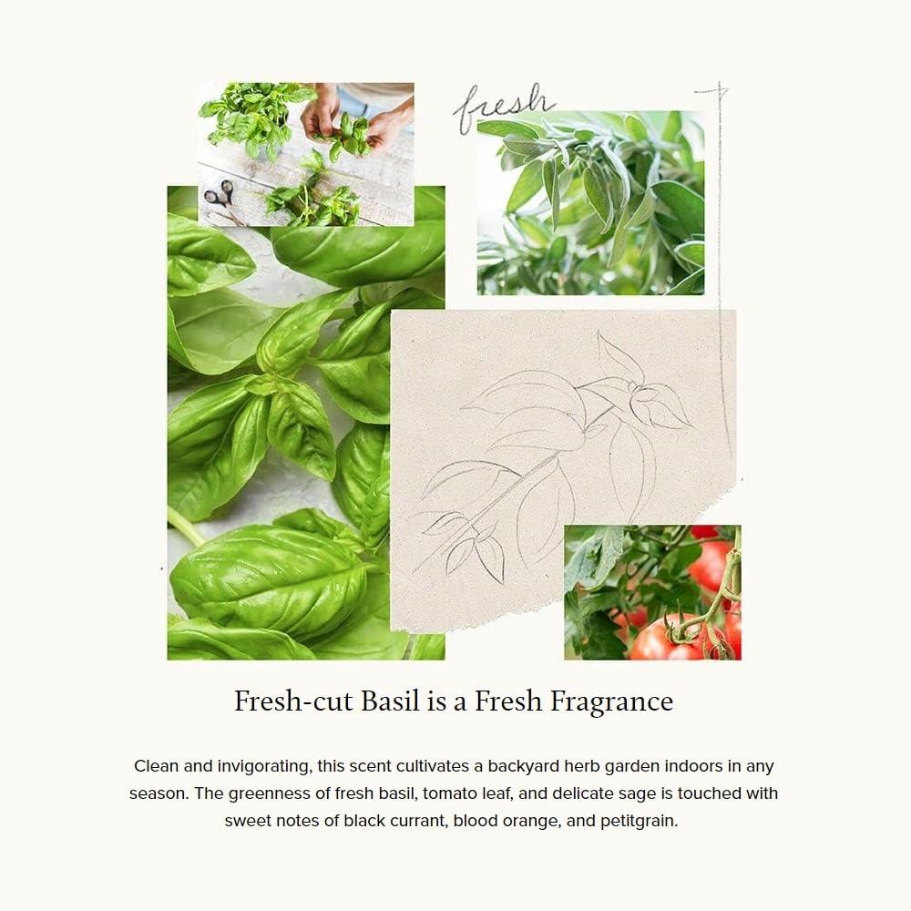 Thymes Thymes Moisturizing Hand Lotion for Dry Skin - Moisturizer for Beauty and Personal Care - Luxury Hand Lotion for Women & Men with Shea Butter & Aloe Vera (Fresh-Cut Basil, 9 fl oz)