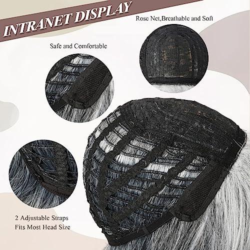 LEOSA LEOSA Short Grey Wig With Curtain Bangs BoB Layered Silver Grey Wigs for Women BOB Layered Wigs Pixie Cut Layered Wig Hair Synthetic Hair Wigs With Daily Use (Grey#)