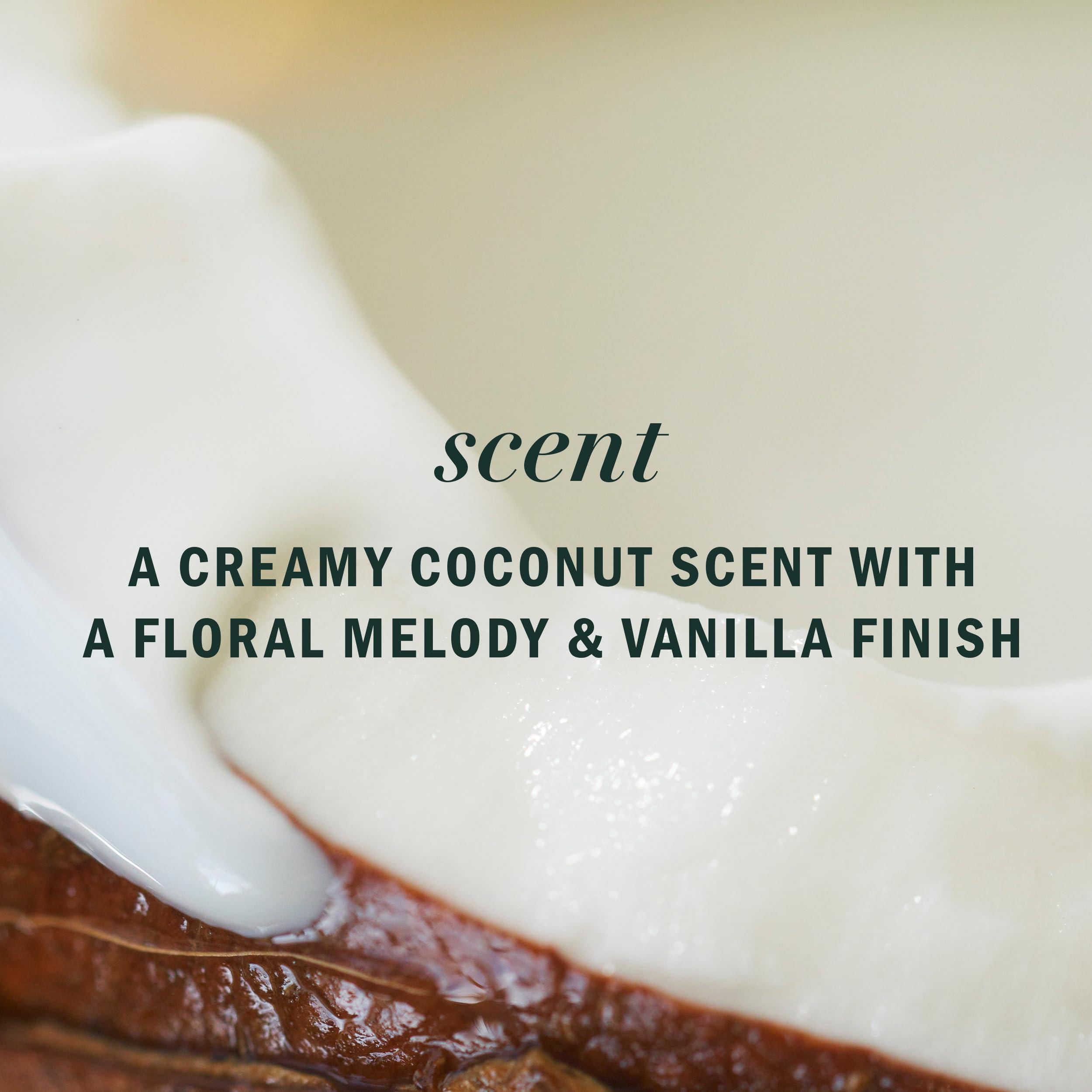 Herbal Essences Herbal Essences Biorenew Coconut Milk Hydrate Shampoo, 13.5 Fl Oz,Pack of 6