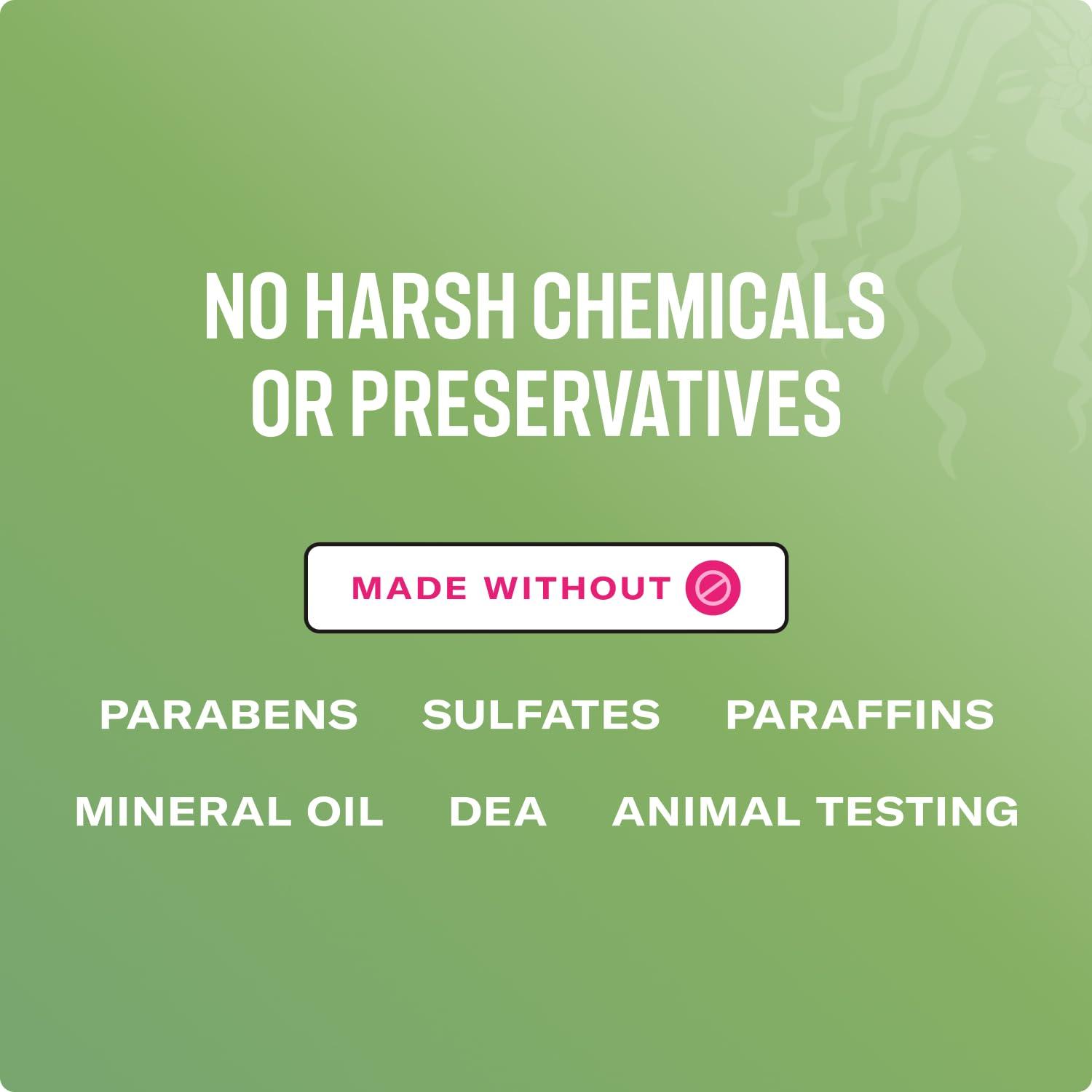 Mielle Organics Mielle Organics Rosemary Mint Strengthening Hair Oil and Shampoo