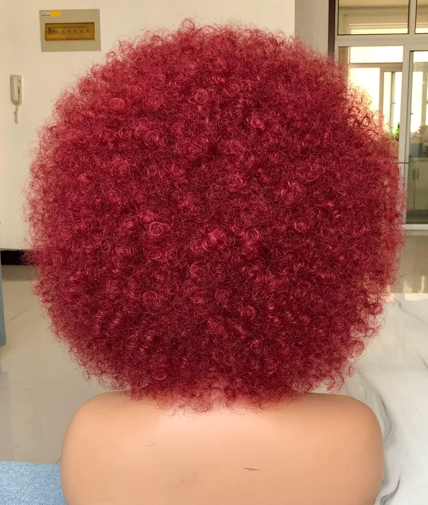 HIHOO HIHOO Short Afro Wig with Bangs for Black Women Afro Kinky Curly Wig 70s Premium Synthetic Big Afro Wig(BUG)