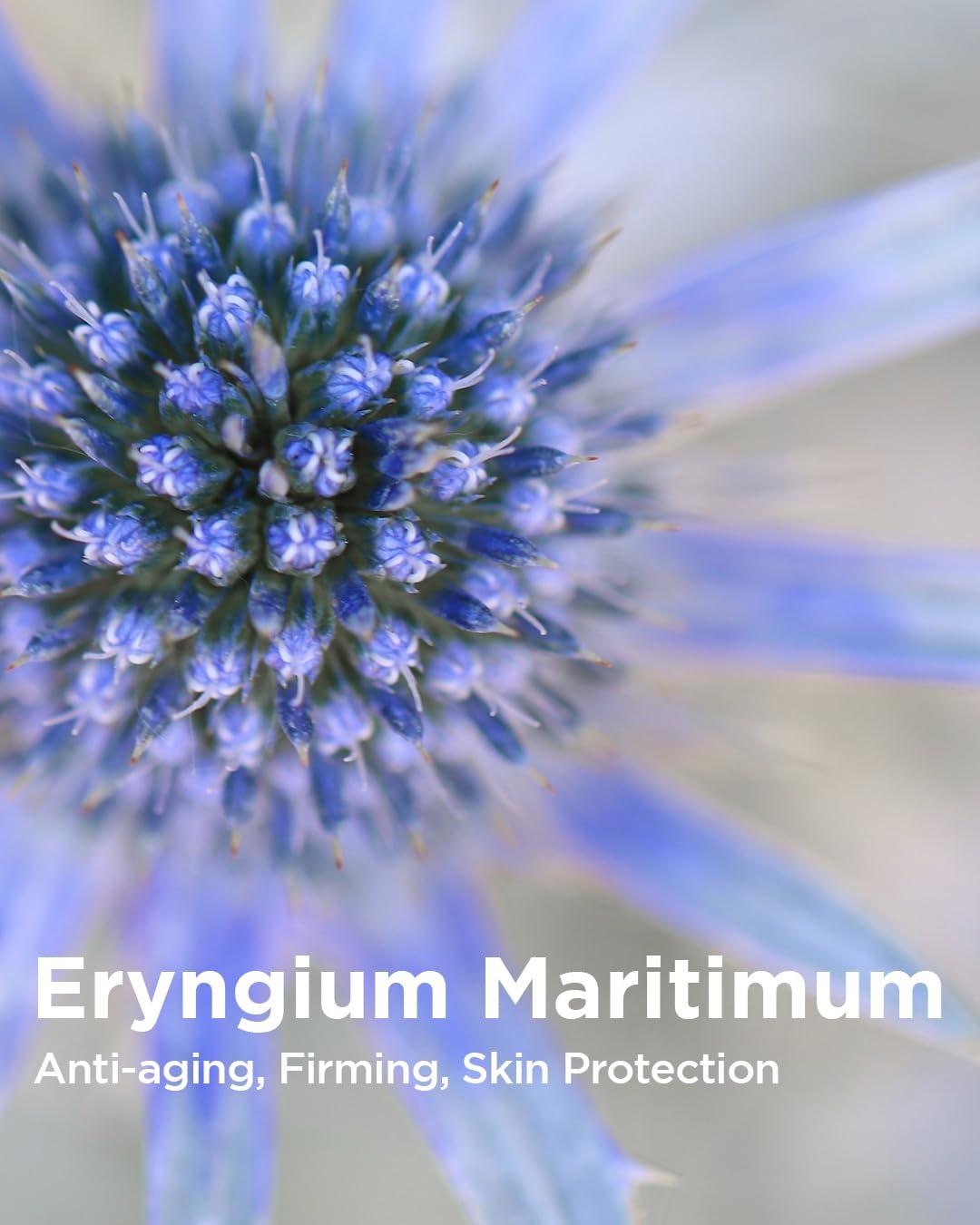 THESAEM THESAEM Facial Intensive Peeling Gel- Korean Gentle Exfoliating Gel for Dead Skin Cells, Special Enzyme, PHA, Cellulose, Bamboo Powder, Cell Renew Bio Micro Peel Intense Gel, 5.41 fl.oz.