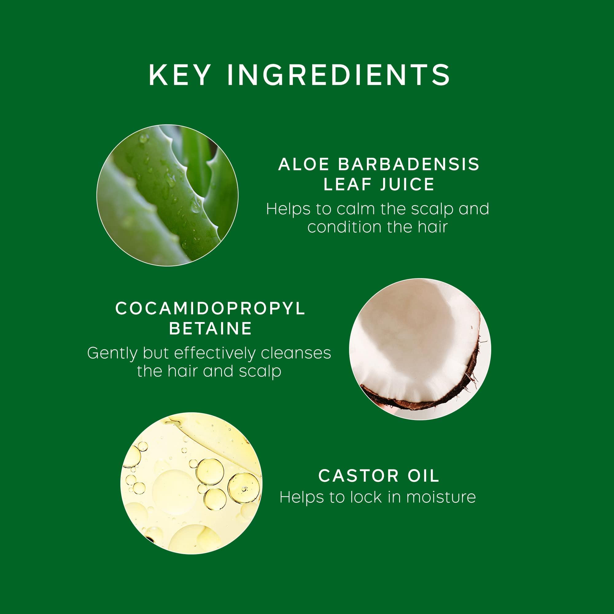 PHILIP KINGSLEY Philip Kingsley Flaky Scalp Shampoo, 8.45 Ounce