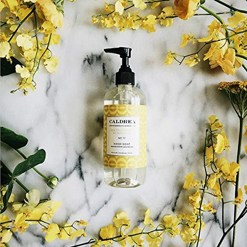 Caldrea Caldrea Hand Wash Soap, Aloe Vera Gel, Olive Oil and Essential Oils to Cleanse and Condition, Sea Salt Neroli Scent, 10.8 oz