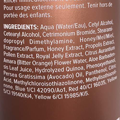 DESIGNLINE DESIGNLINE Honey & Aloe Conditioner, 10.1 oz - Regis Detangles Hair and Helps Prevent Frizz, Flyaways, and Unwanted Volume, Creating the Perfect Frizz-Free Finish
