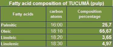 Paris Fragrances Tucuma Butter - 64 Oz (4 lb) - 100% Natural Unrefined