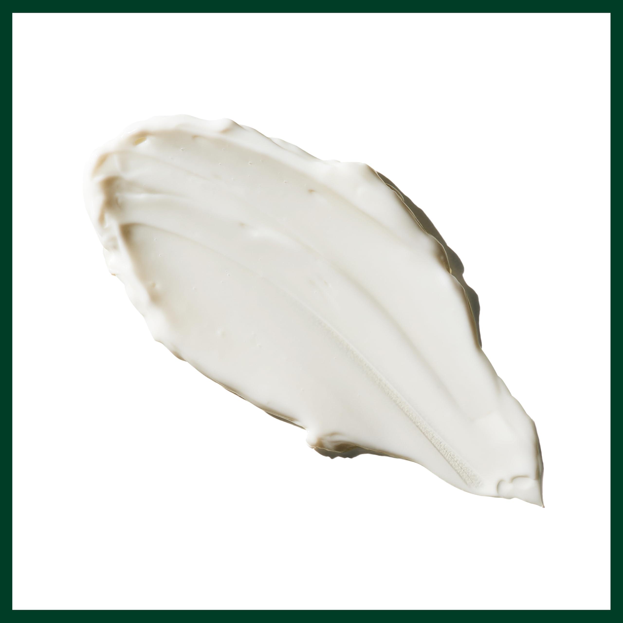 Aveda Aveda Light Elements Texturizing Creme, 2.6 Ounce