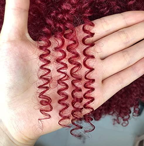 CC Hair Red Curly Wigs for Black Women Afro Curly Wigs with Bangs Afro Hair Synthetic Fiber Wigs Short Curly Wig (14inch)