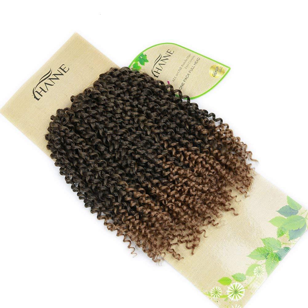 HANNE HANNE Kinky Curly Crochet Hair Afro Crochet Hair Curly Yanky Twist Crochet Hair for Black Women Jerry Curl Braiding Curly Hair Extensions 3X Crochet Curly Hair Braided Synthetic Hair Bundles (T1B/27)