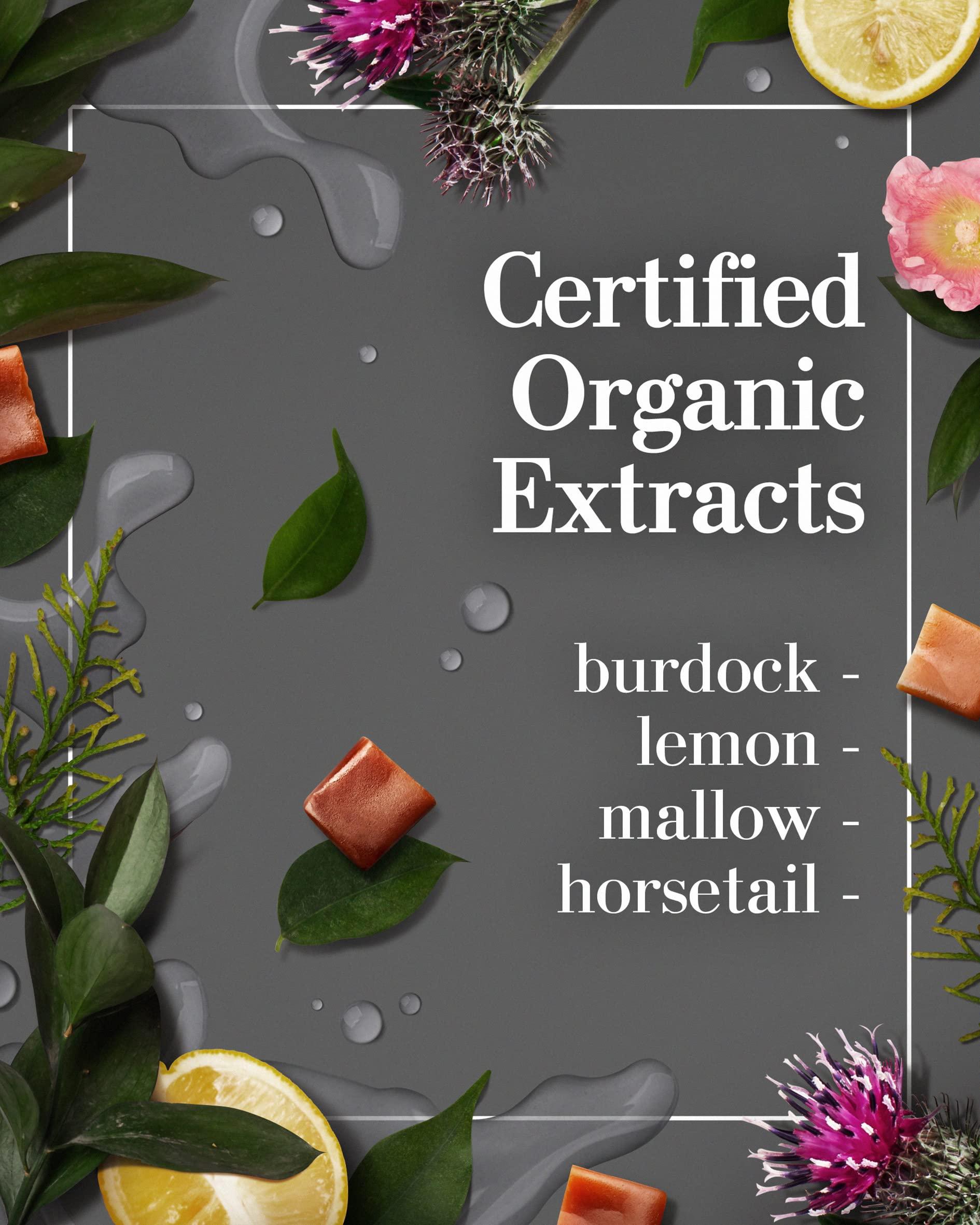 Avenue Man Avenue Man Max Texture Clay - Hair Products for Men (2oz) - Hair Pomade with Herbal Extracts for Wet or Dry Hair - Paraben-Free Hair Putty - Improved Formula