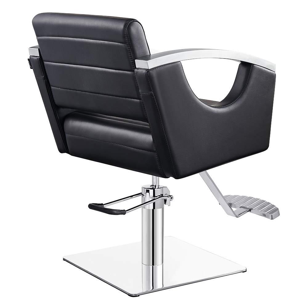 Dir Dir Salon Styling Chair European Design Salon Hydraulic Beauty Chair Bello