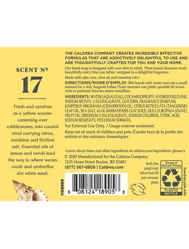 Caldrea Caldrea Hand Wash Soap, Aloe Vera Gel, Olive Oil and Essential Oils to Cleanse and Condition, Sea Salt Neroli Scent, 10.8 oz