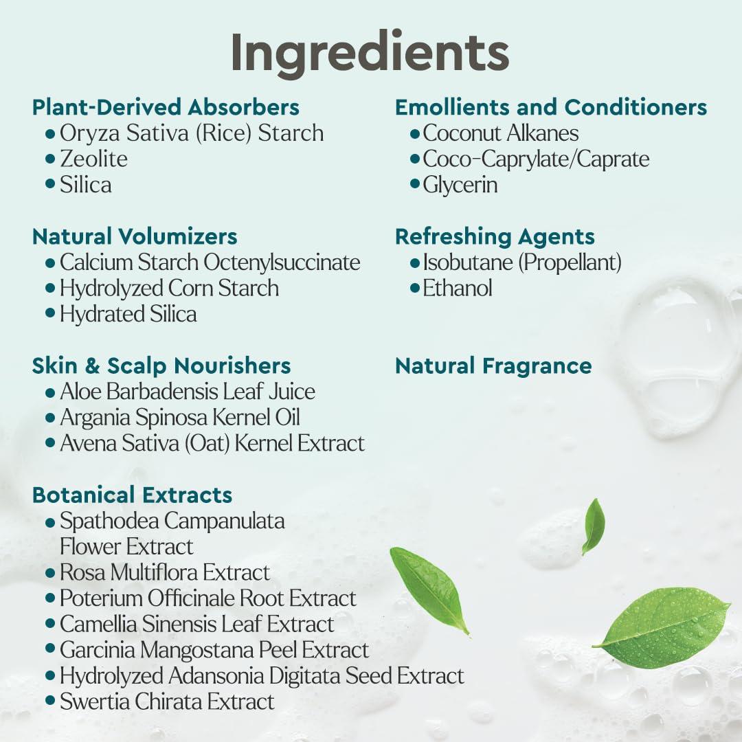 Puracy Puracy Natural Body Wash Refill, 98.6% Pure Plant Ingredients Shower Gel (Citrus & Sea Salt 48 oz) Natural Dry Shampoo for Women, Plant-Powered Cleansing Volumizing Dry Shampoo (Citrus & Jasmine 6 oz)