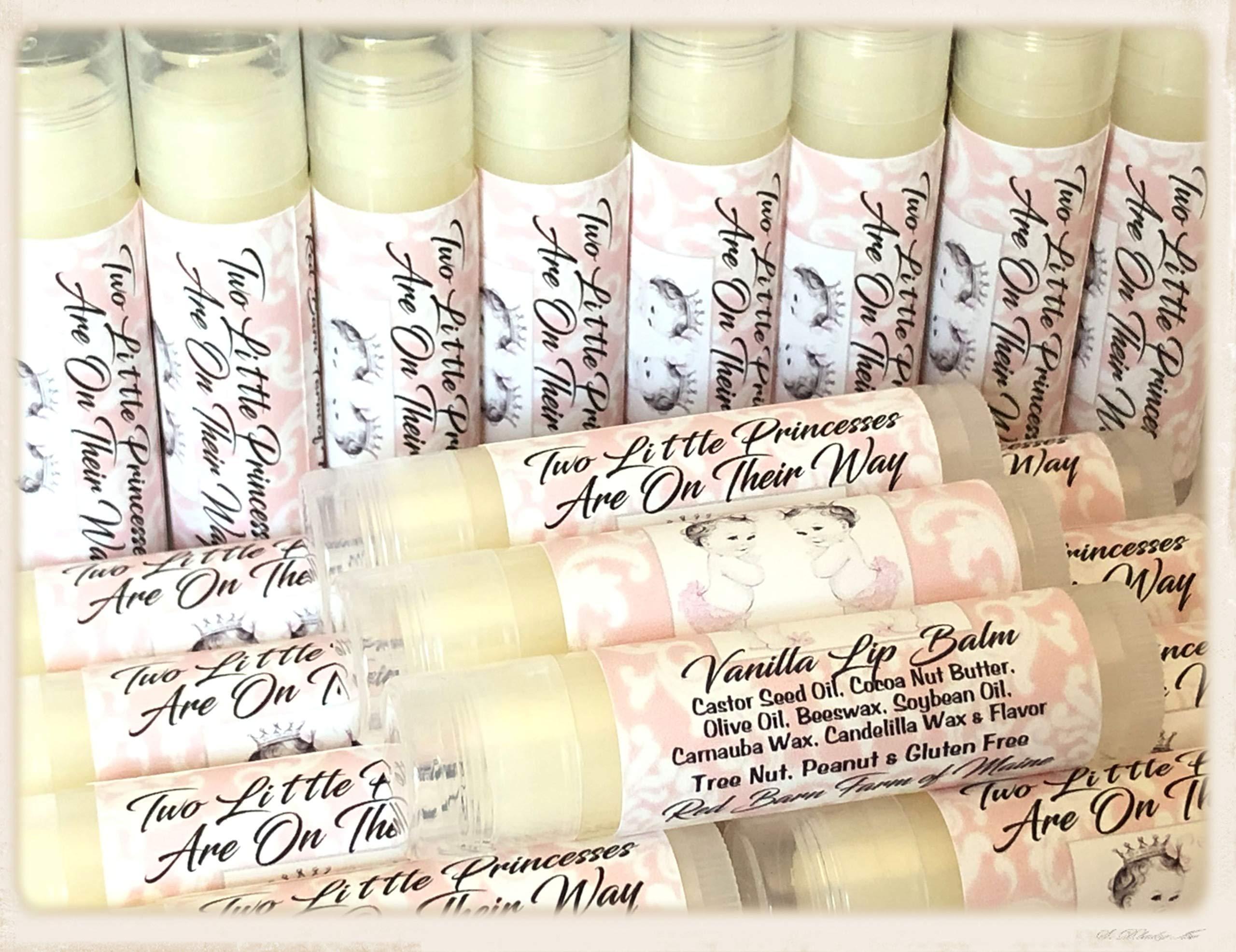 Red Barn Farm of Maine 10 TWIN GIRL Lip Balm Baby Shower Party Favors