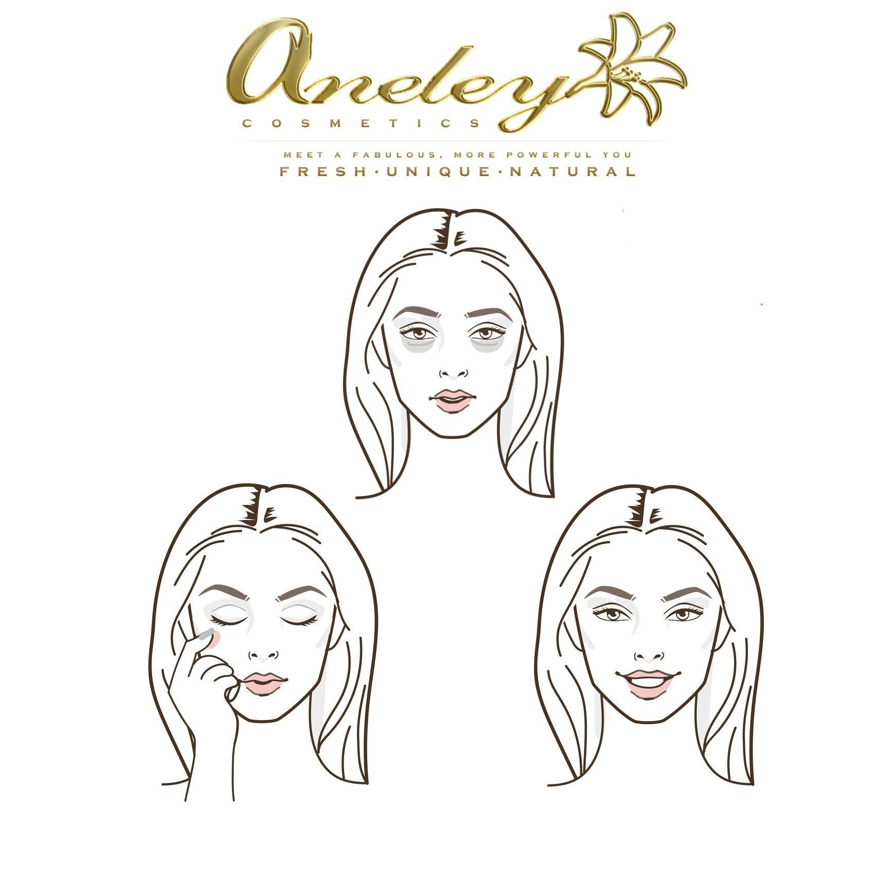 Aneley Cosmetics Natural Concealer makeup certified organic ingredients cruelty free vegan gluten free creamy soothing nourishing and hydrating formula for flawless complexion perfect coverage highly(Flawless)