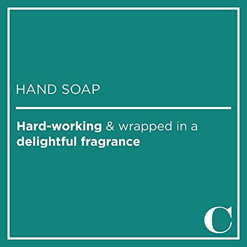 Caldrea Caldrea Hand Wash Soap, Aloe Vera Gel, Olive Oil and Essential Oils to Cleanse and Condition, Sea Salt Neroli Scent, 10.8 oz