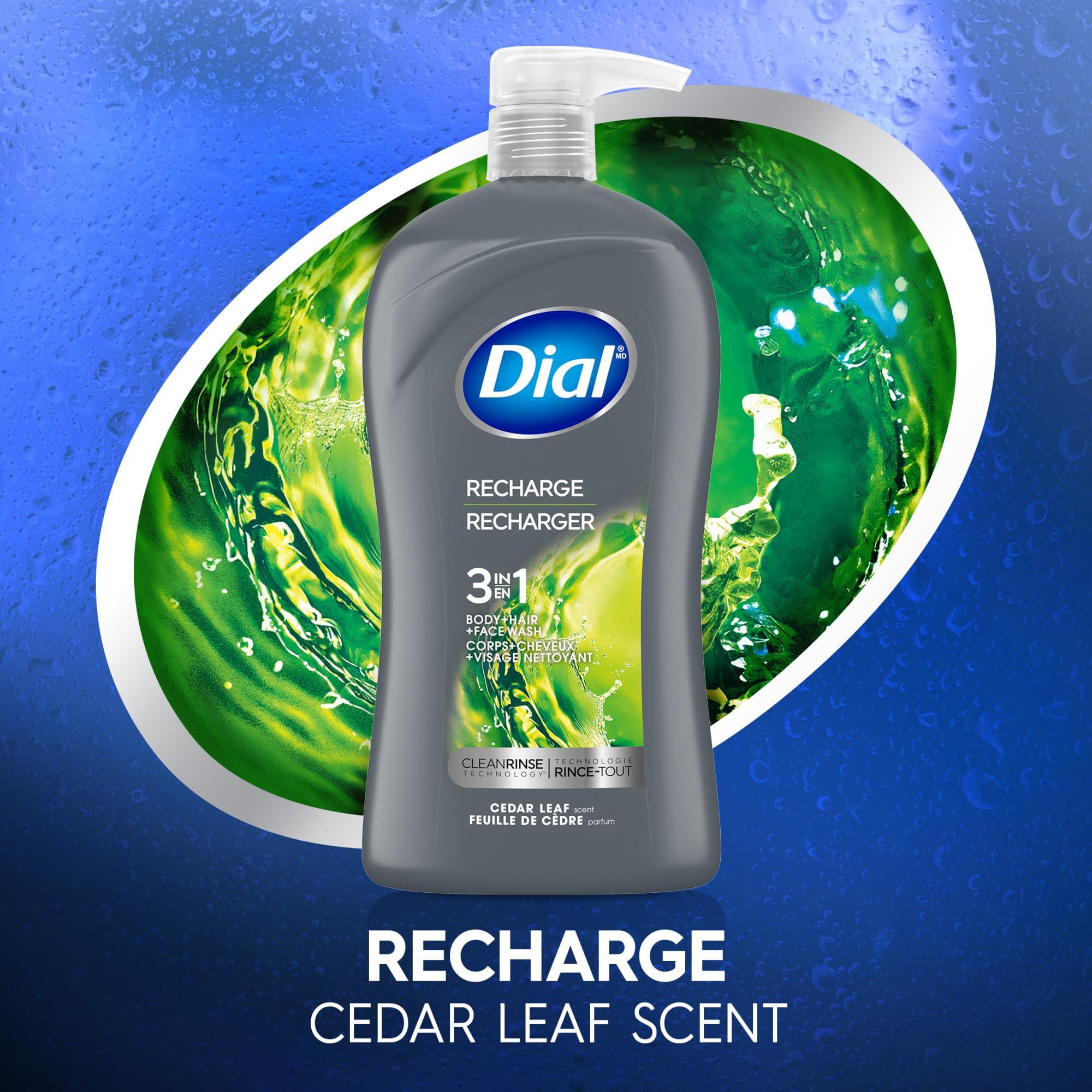 Dial Dial Men 3in1 Body, Hair and Face Wash, Recharge, 32 fl oz