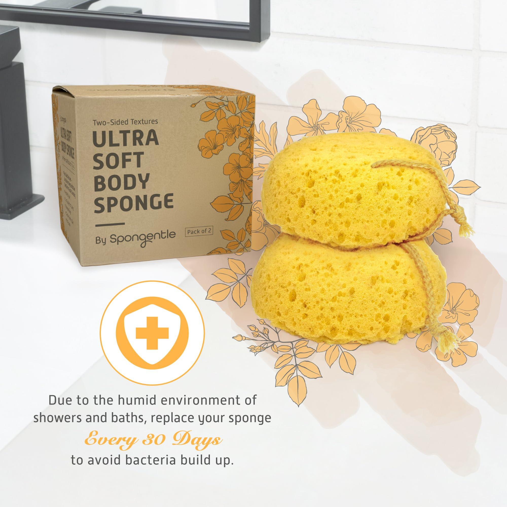 Sunlite Sports Spongentle Deep Cleansing Body Loofah Sponge, for Bath and Shower Loofah with Suction Cup, Multiple Textures for Gentle and Deep Exfoliation, with Nature Color, Generous and Rich Lather (Pack of 2)