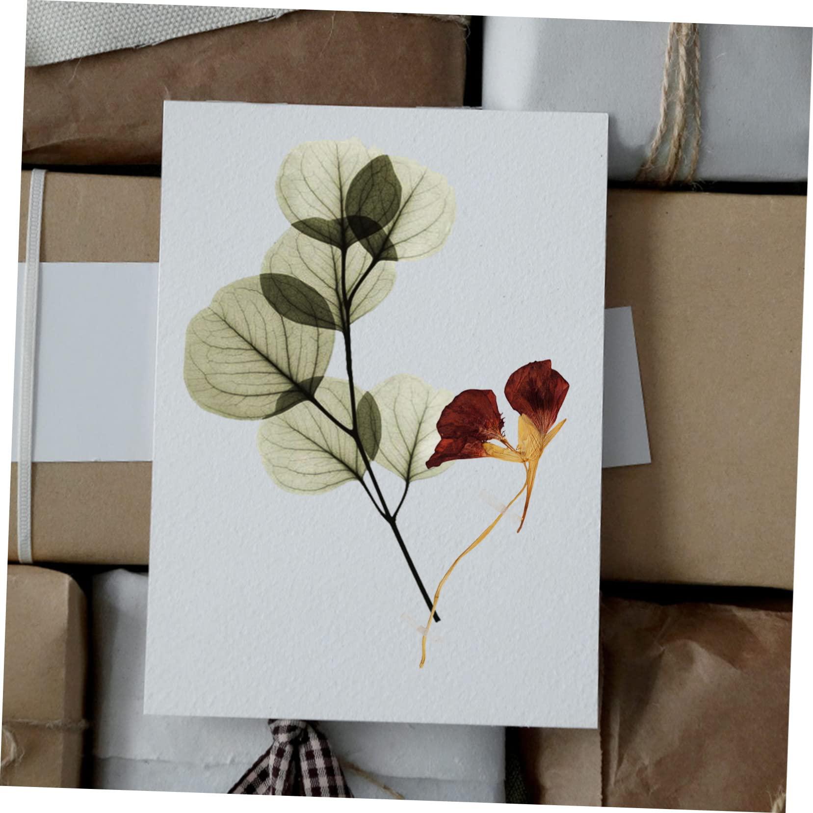 minkissy minkissy Diy Dried Flower Press Board Set 6pcs Blotter Paper Herbarium for Flower Pressing Art Craft